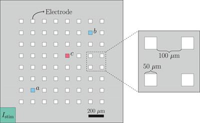 Identifying Drug Response by Combining Measurements of the Membrane Potential, the Cytosolic Calcium Concentration, and the Extracellular Potential in Microphysiological Systems